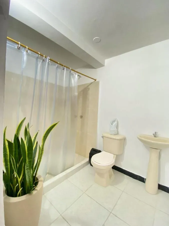 ***  Hotel Casa Palermo Medellín Colombia